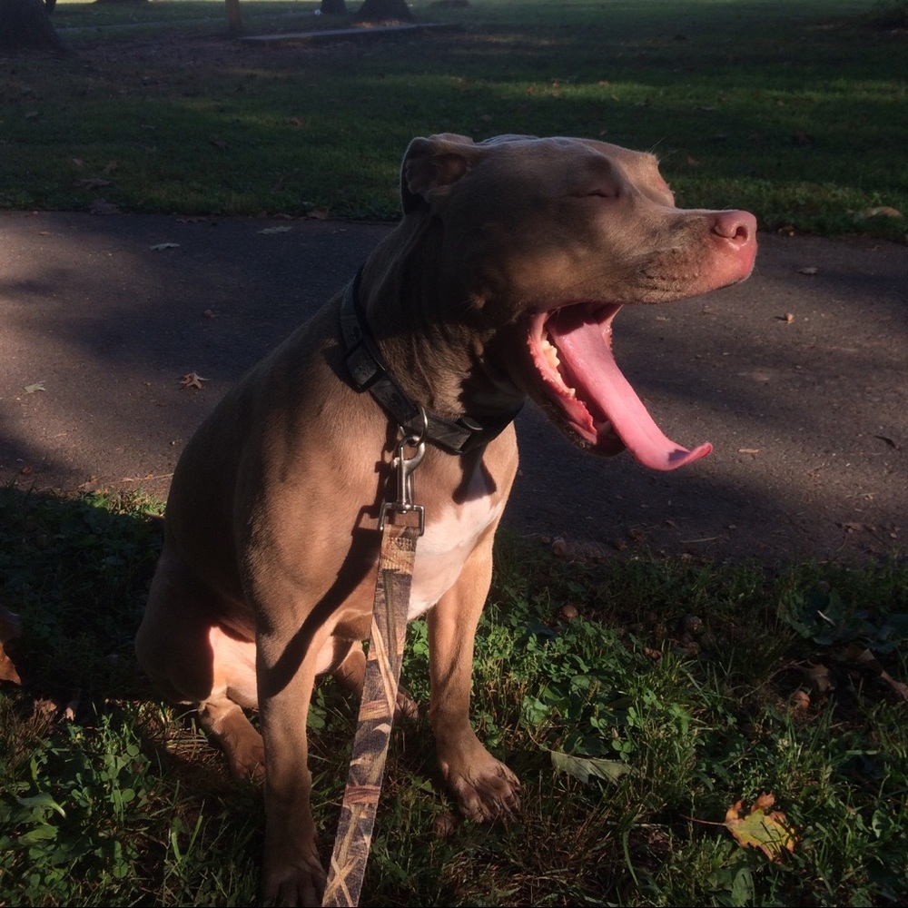 Meet your Posher, Austin